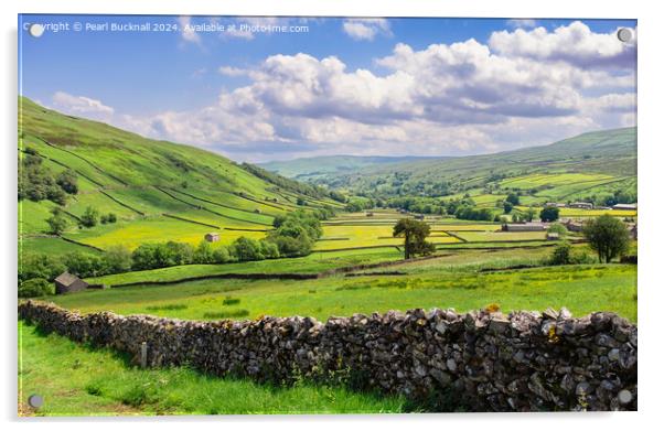 English Countryside in Swaledale, Yorkshire Dales Acrylic by Pearl Bucknall
