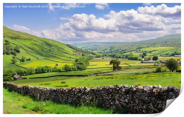 English Countryside in Swaledale, Yorkshire Dales Print by Pearl Bucknall