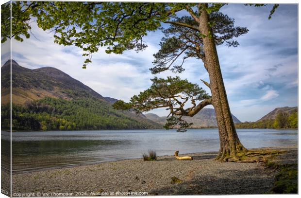 On the Banks of Lake Buttermere Canvas Print by Viv Thompson