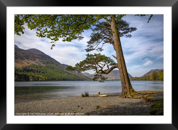 On the Banks of Lake Buttermere Framed Mounted Print by Viv Thompson