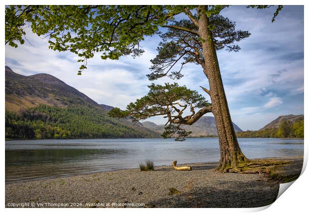 On the Banks of Lake Buttermere Print by Viv Thompson