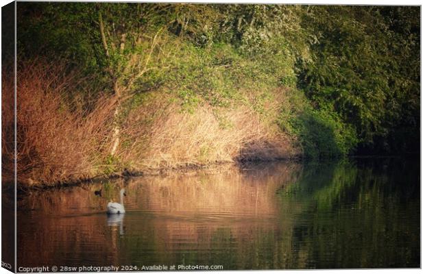 The Colours of an Erewash Spring. Canvas Print by 28sw photography