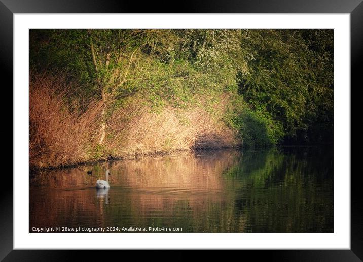 The Colours of an Erewash Spring. Framed Mounted Print by 28sw photography
