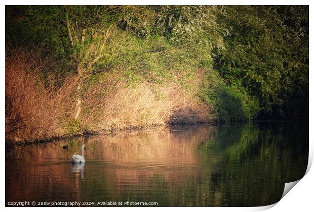 The Colours of an Erewash Spring. Print by 28sw photography