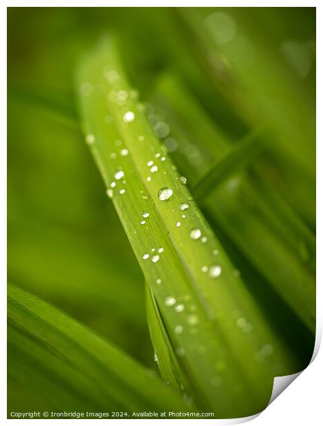 After the rain Print by Ironbridge Images