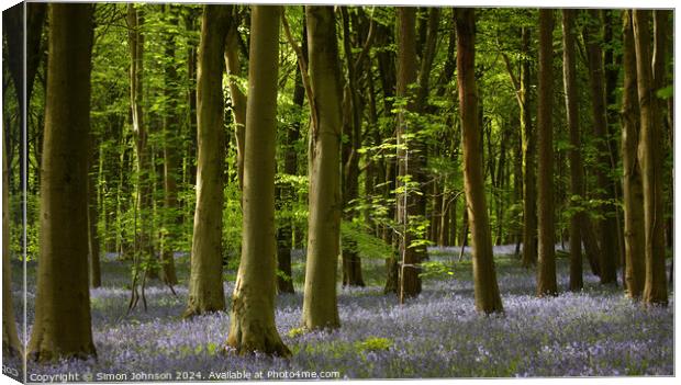 Plant tree Canvas Print by Simon Johnson