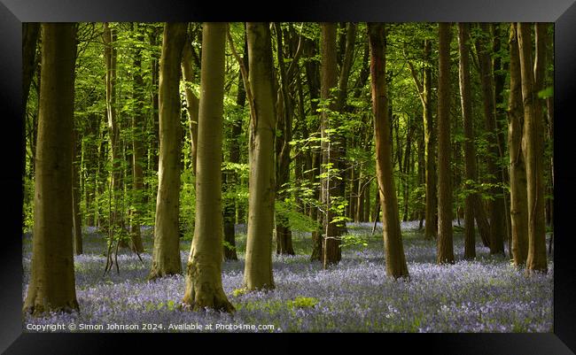 Plant tree Framed Print by Simon Johnson