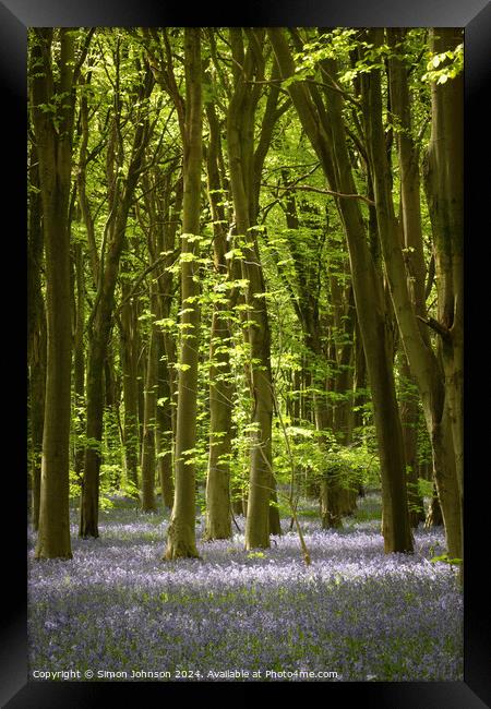 Plant tree Framed Print by Simon Johnson