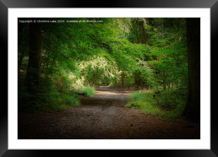 Summer Solitude Framed Mounted Print by Christine Lake