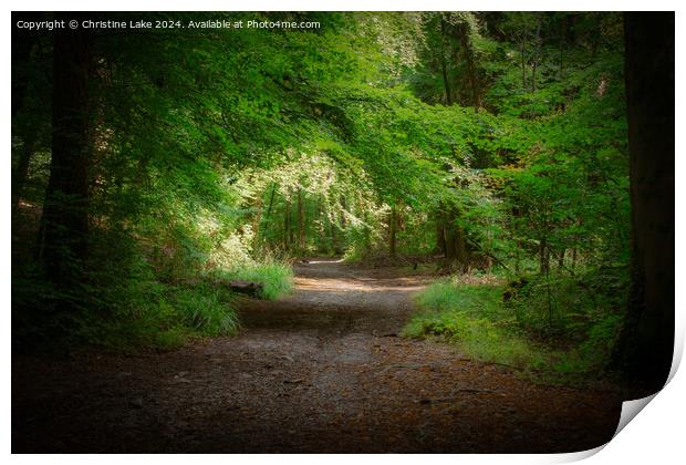 Summer Solitude Print by Christine Lake