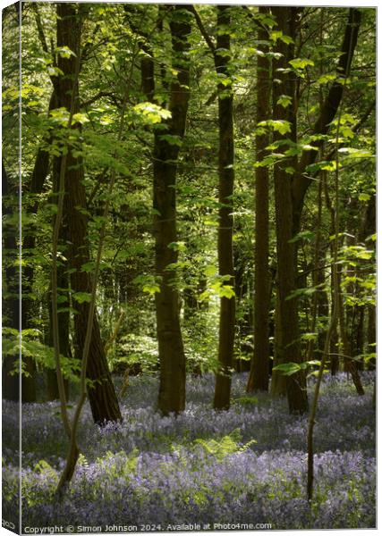 Plant tree Canvas Print by Simon Johnson