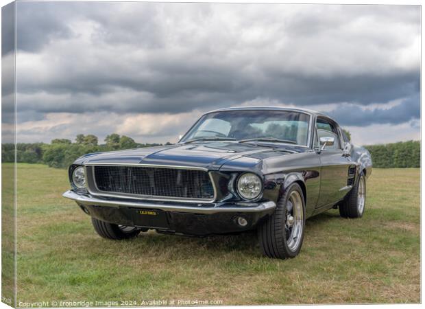 Mustang Canvas Print by Ironbridge Images