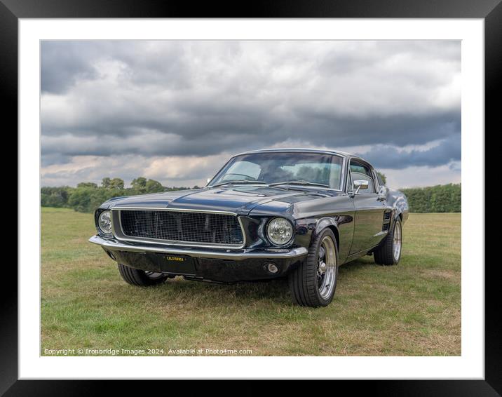 Mustang Framed Mounted Print by Ironbridge Images