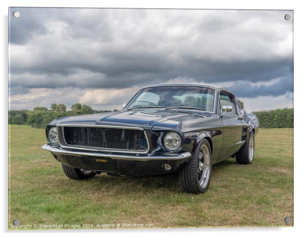 Mustang Acrylic by Ironbridge Images