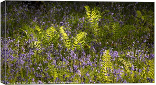 Plant tree Canvas Print by Simon Johnson