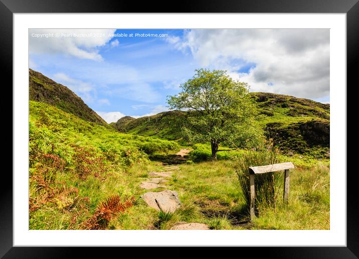 A Country Walk up Cwm Bychan in Snowdonia Framed Mounted Print by Pearl Bucknall