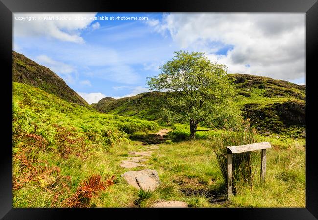 A Country Walk up Cwm Bychan in Snowdonia Framed Print by Pearl Bucknall