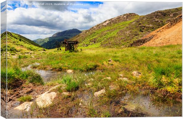 Remnants of Welsh Copper Mining in Snowdonia Canvas Print by Pearl Bucknall