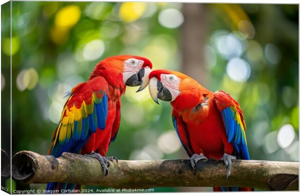 Two scarlet macaws are facing each other on a branch in a vibrant display of colors. Canvas Print by Joaquin Corbalan
