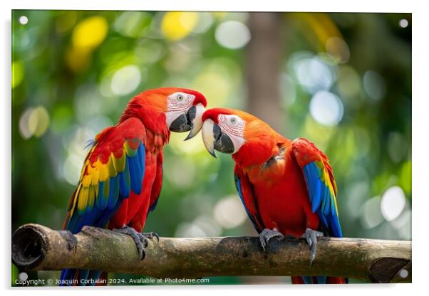 Two scarlet macaws are facing each other on a branch in a vibrant display of colors. Acrylic by Joaquin Corbalan