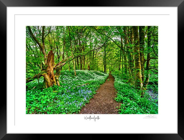Woodland path a garlic and bluebell delight  Framed Mounted Print by JC studios LRPS ARPS