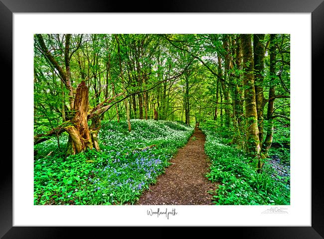 Woodland path a garlic and bluebell delight  Framed Print by JC studios LRPS ARPS