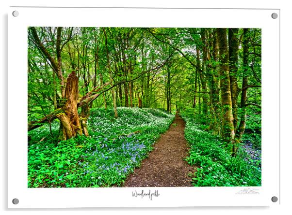 Woodland path a garlic and bluebell delight  Acrylic by JC studios LRPS ARPS