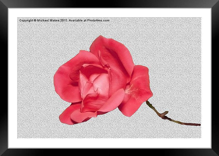 Roses are Red Framed Mounted Print by Michael Waters Photography