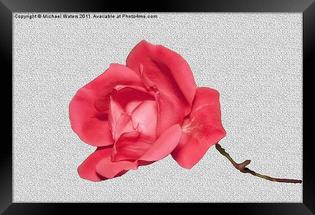 Roses are Red Framed Print by Michael Waters Photography