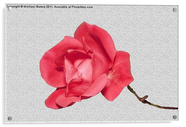 Roses are Red Acrylic by Michael Waters Photography
