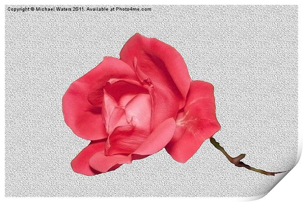 Roses are Red Print by Michael Waters Photography