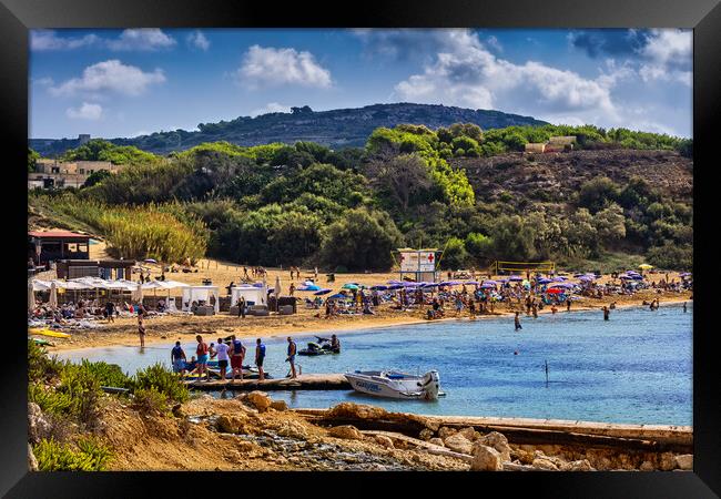 Golden Bay And Beach On Malta Island Framed Print by Artur Bogacki