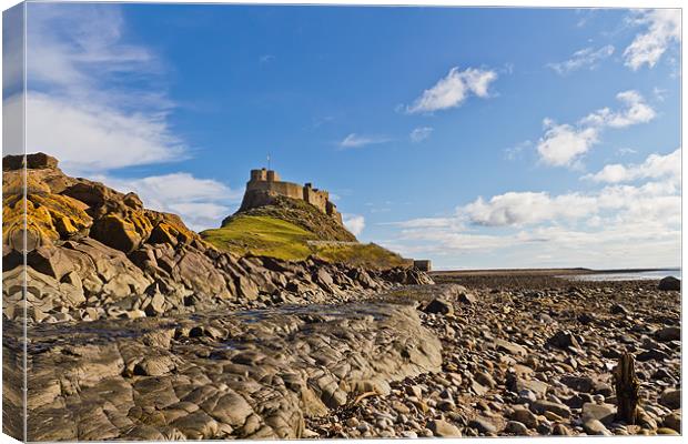 Lindisfarne Castle viewed from the shoreline. Canvas Print by Kevin Tate