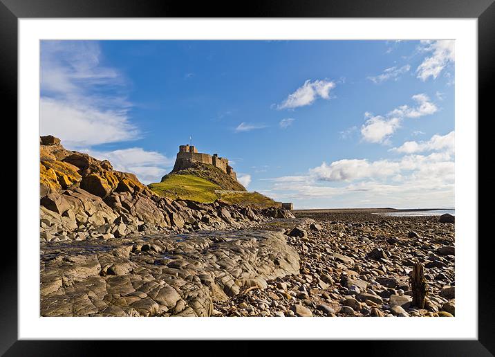 Lindisfarne Castle viewed from the shoreline. Framed Mounted Print by Kevin Tate