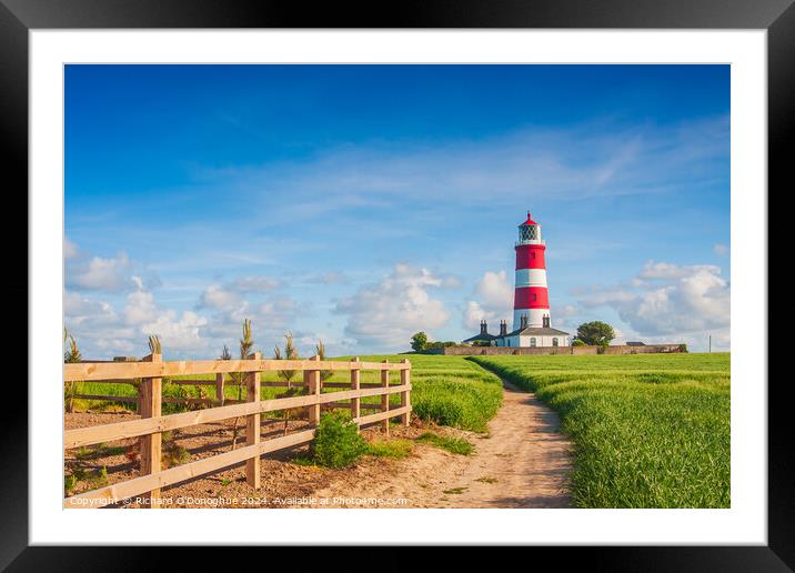 Happisburgh Lighthouse, North Norfolk, UK Framed Mounted Print by Richard O'Donoghue