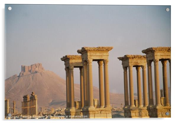 Palmyra Acrylic by Rachel Schroeder