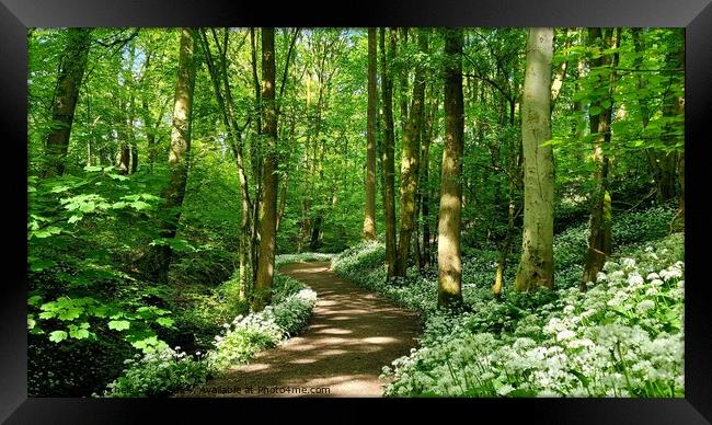 Wild Garlic Mason's Wood Framed Print by Michele Davis