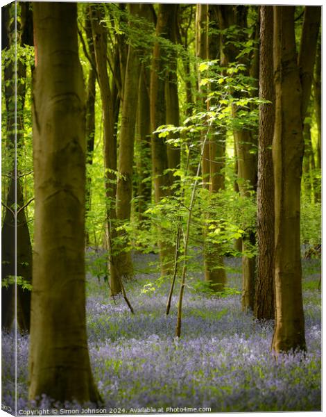 sunlit tree and. bluebell woodland  Canvas Print by Simon Johnson