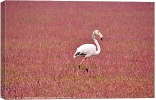 Greater Flamingo in Walvis Bay Canvas Print by Kristine Sipola