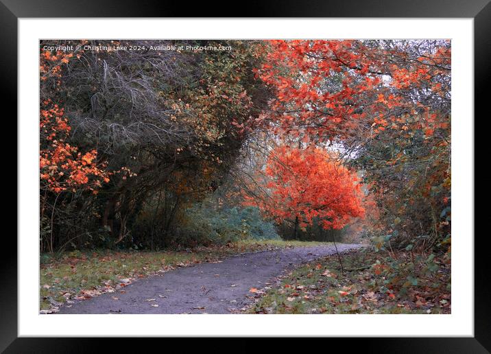 Autumn Splendour Victoria Park, Bristol, UK Framed Mounted Print by Christine Lake