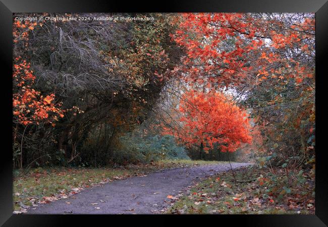 Autumn Splendour Victoria Park, Bristol, UK Framed Print by Christine Lake