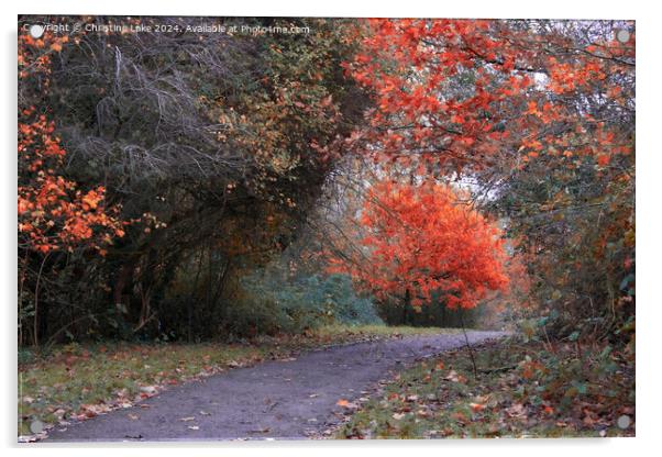 Autumn Splendour Victoria Park, Bristol, UK Acrylic by Christine Lake