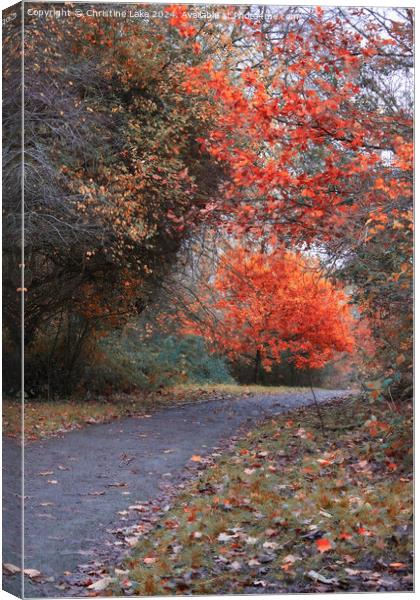 Autumn Splendour 2 Victoria Park, Bristol, UK Canvas Print by Christine Lake