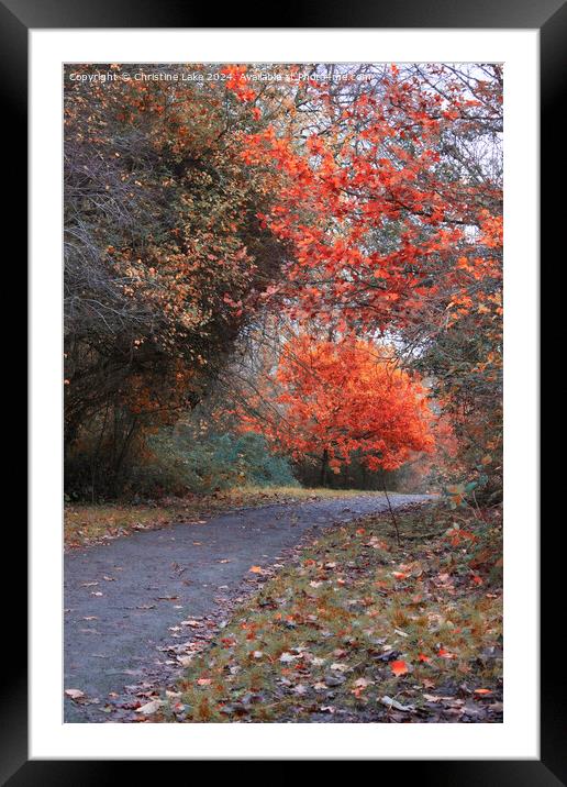 Autumn Splendour 2 Victoria Park, Bristol, UK Framed Mounted Print by Christine Lake