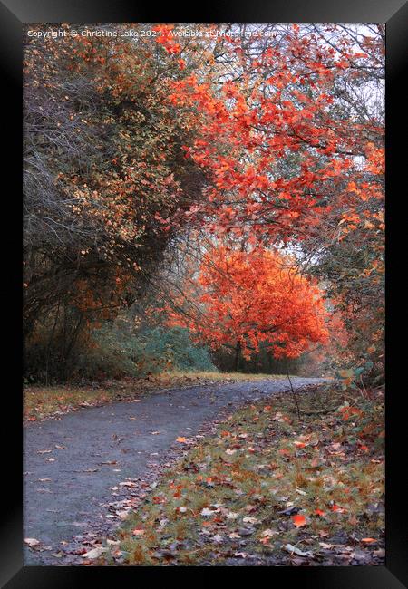 Autumn Splendour 2 Victoria Park, Bristol, UK Framed Print by Christine Lake