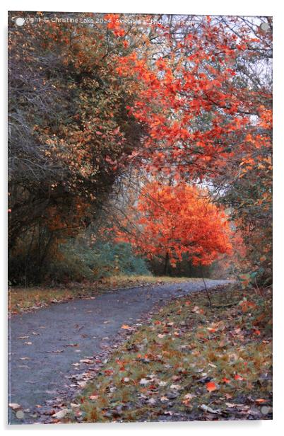 Autumn Splendour 2 Victoria Park, Bristol, UK Acrylic by Christine Lake
