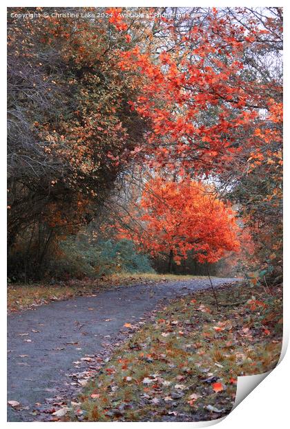 Autumn Splendour 2 Victoria Park, Bristol, UK Print by Christine Lake