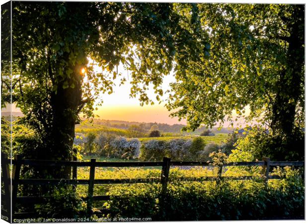 Rural Leicestershire  Canvas Print by Ian Donaldson