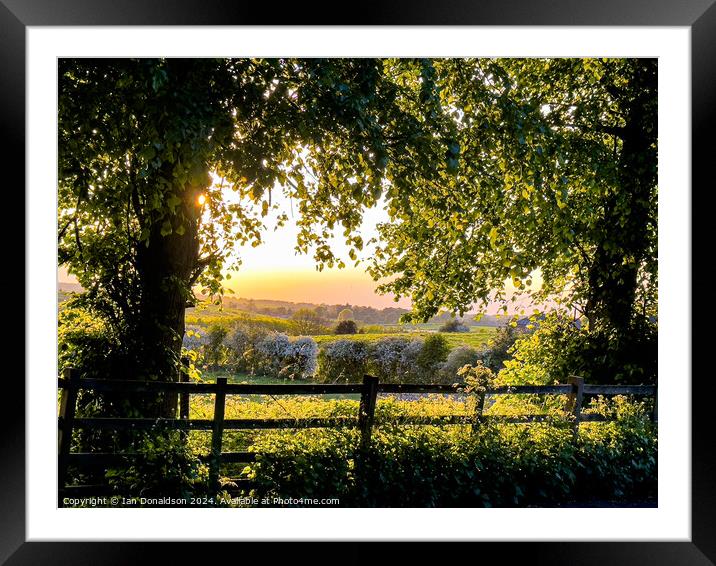 Rural Leicestershire  Framed Mounted Print by Ian Donaldson