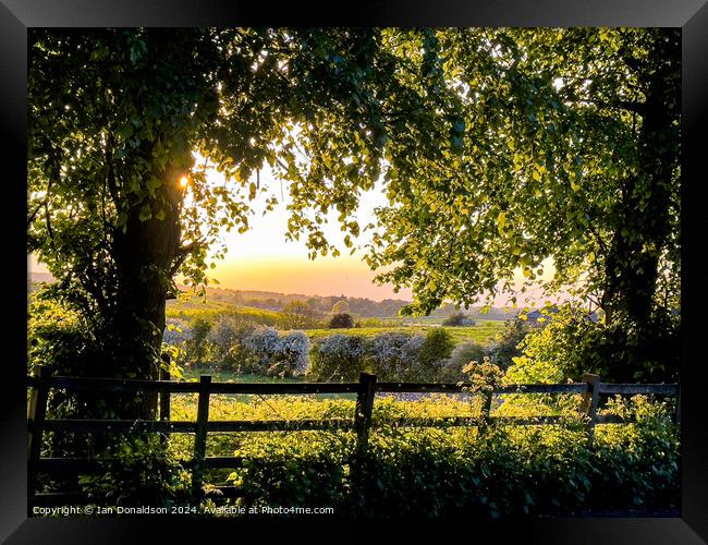 Rural Leicestershire  Framed Print by Ian Donaldson